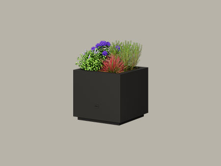 Pictor | Pflanzkübel