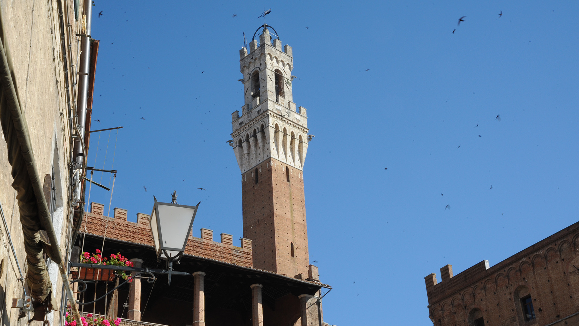 Siena medieval y sus luces